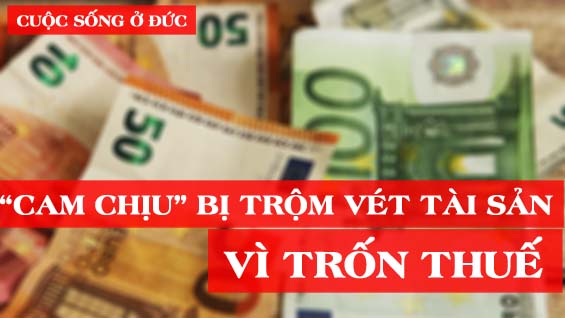 bia_web