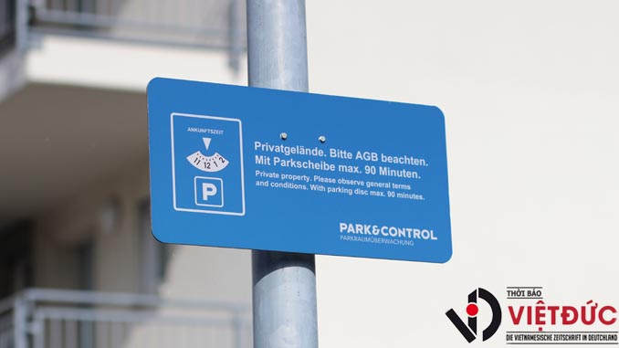 dau xe co gio