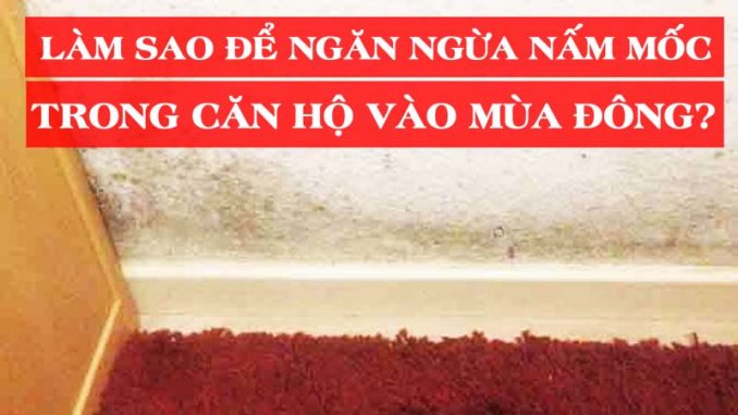 ngan ngua nam moc