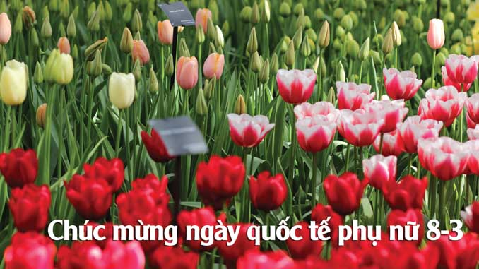 ngay 83