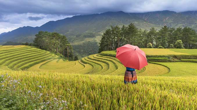 viet nam